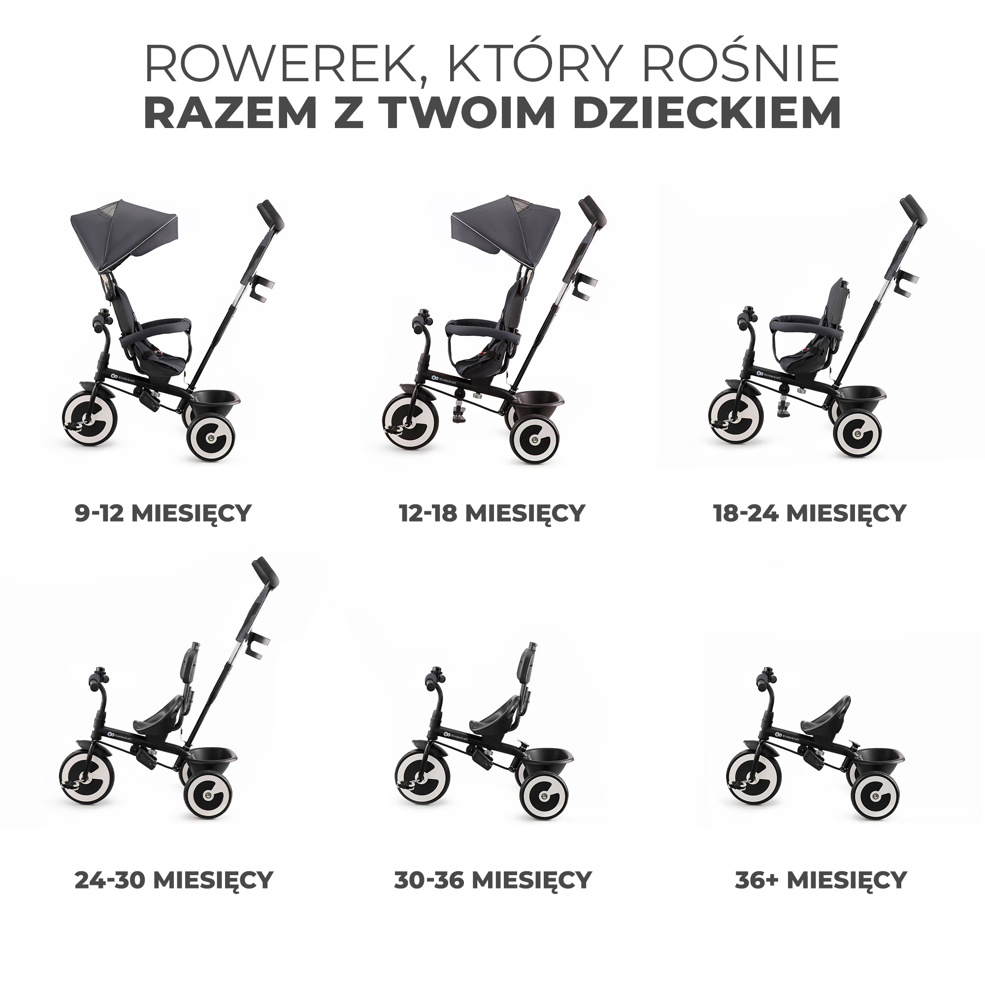 rowerek trójkołowy, który rośnie wraz z dzieckiem kinderkraft aston